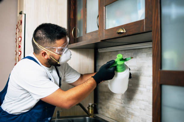 Best Pest Control for Homes  in Fellsmere, FL