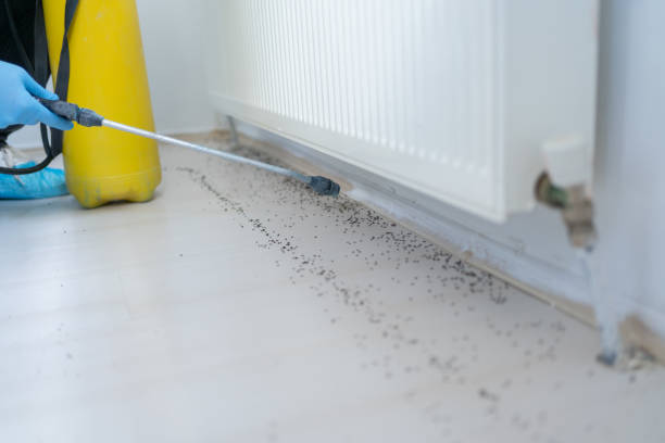 Best Wildlife Control Services  in Fellsmere, FL